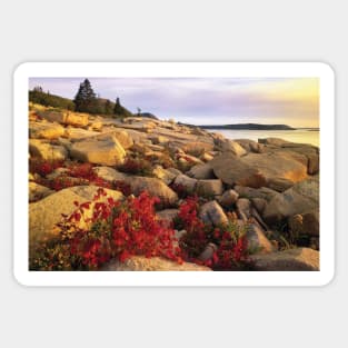 Atlantic Coast Near Thunder Hole Acadia National Park Sticker